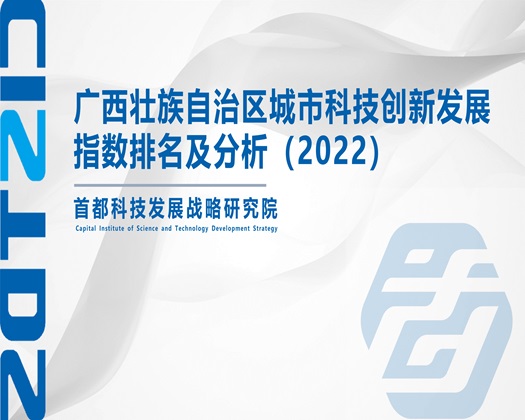 操中国美女屄【成果发布】广西壮族自治区城市科技创新发展指数排名及分析（2022）